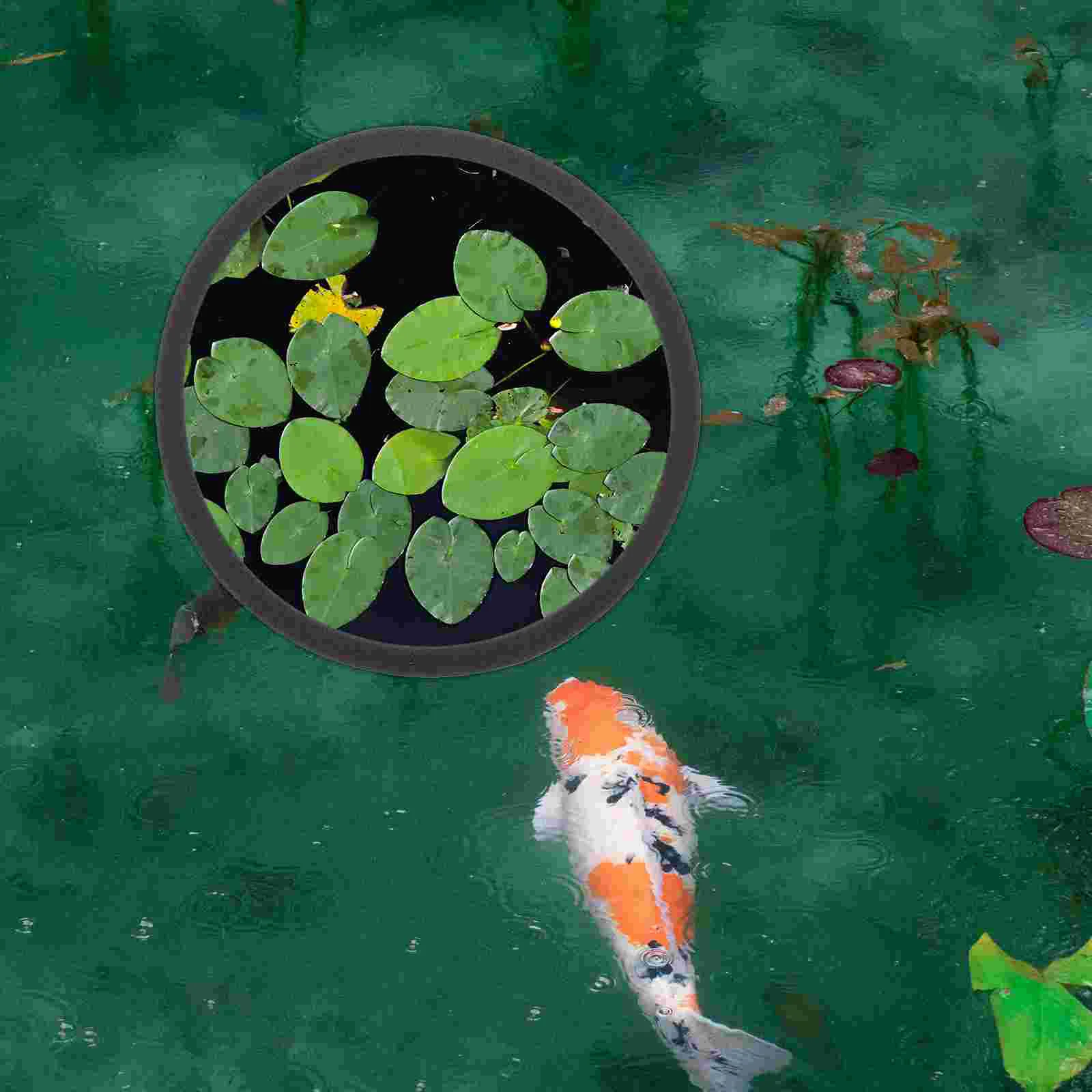 5 Pcs Aquarium Floating Plant Fence Isolation Accessories Fish Automatic Feeder