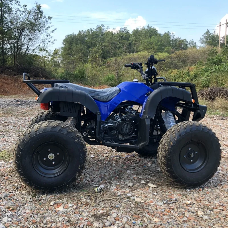 Quad Bike ATV for Sale 200cc Gas 4-Stroke 2WD Automatic Chain Drive