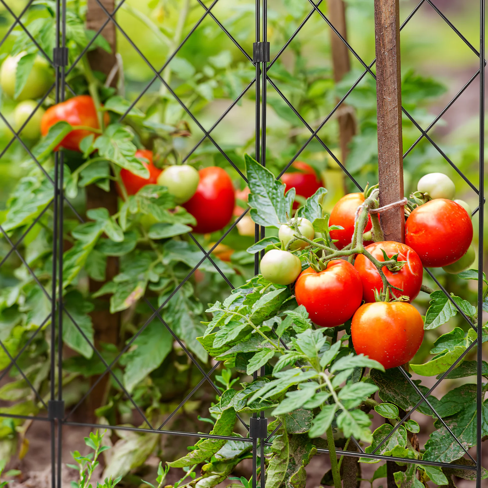 Staffa di supporto per giardinaggio in metallo vasi da fiori per esterni per bambini piante da interno supporto in ferro per la casa
