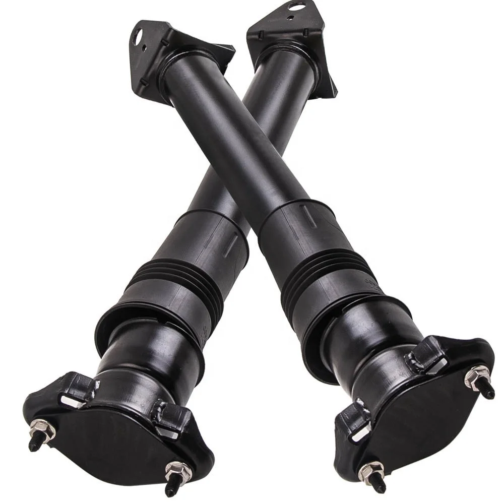 

2513201031 Rear Air Suspension Gas Shock Absorbers For Mercedes W251 R320 R350 R500 2006 Air Suspension Strut