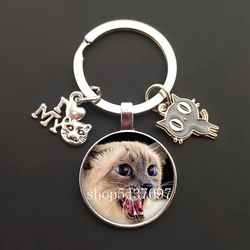 Lovely big eyes Cat keychain,animal Cat jewelry keychain car keychain,Pet Cats Glass Art Picture Dome DIY Handmade Jewelry gift