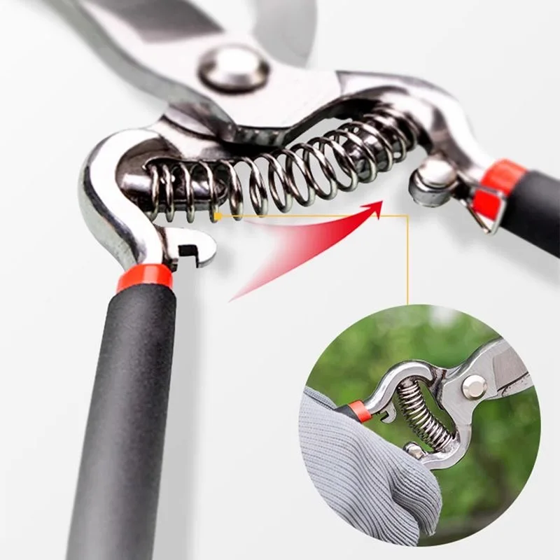 أدوات الحدائق مقصات تقليم الحدائق مقص تشذيب شفرة فولاذية عالية الكربون لأشجار الفاكهة بونساي فروع الزهور