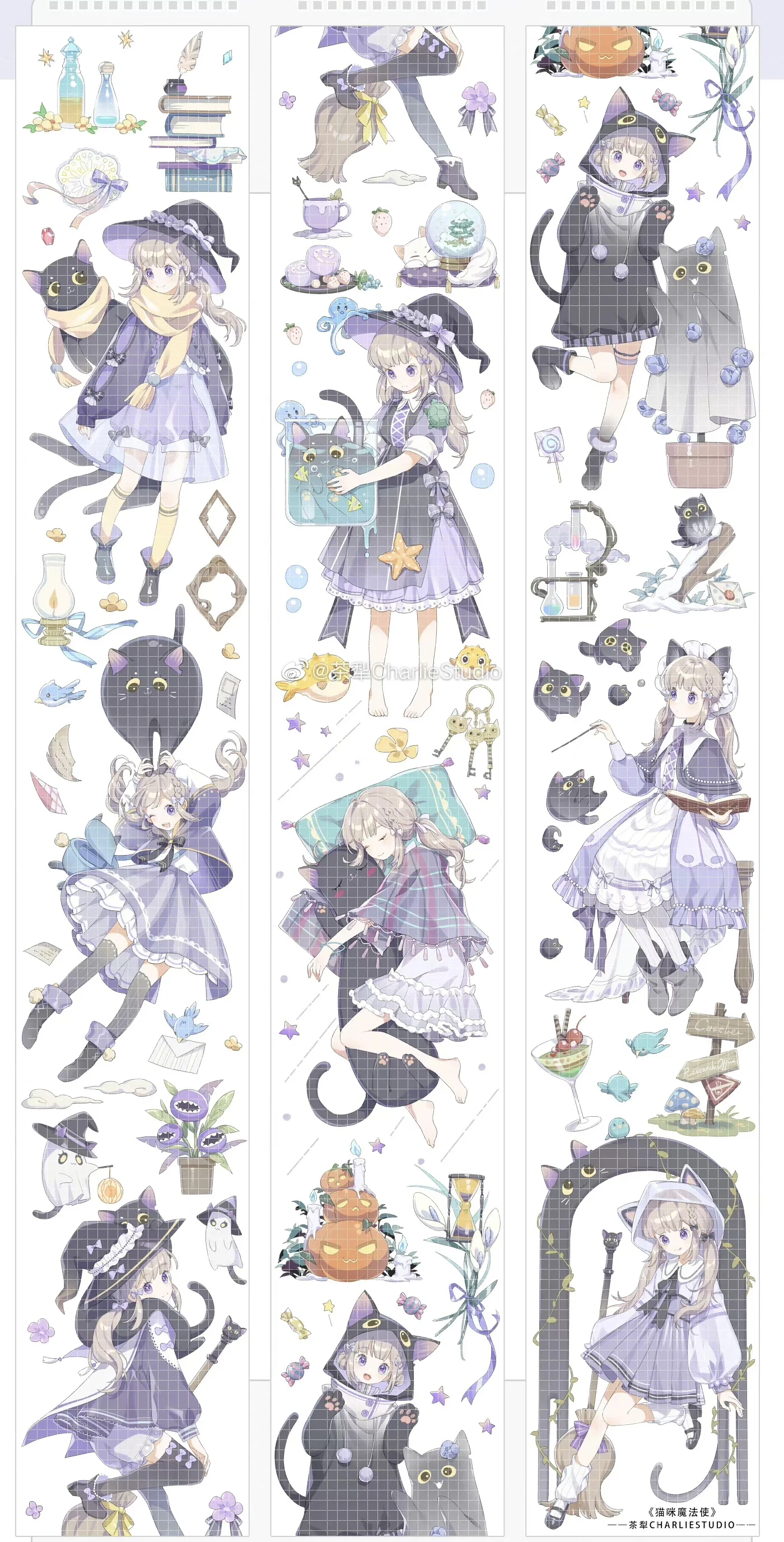 fita pet black cat witch 01