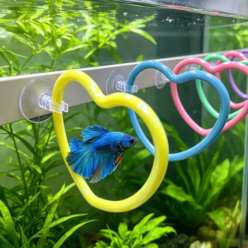 Betta Exercise Rings Suction Cup Fish Training Heart Ring Colorful: 1/6Pcs Tail Toy Circle Tank Decor