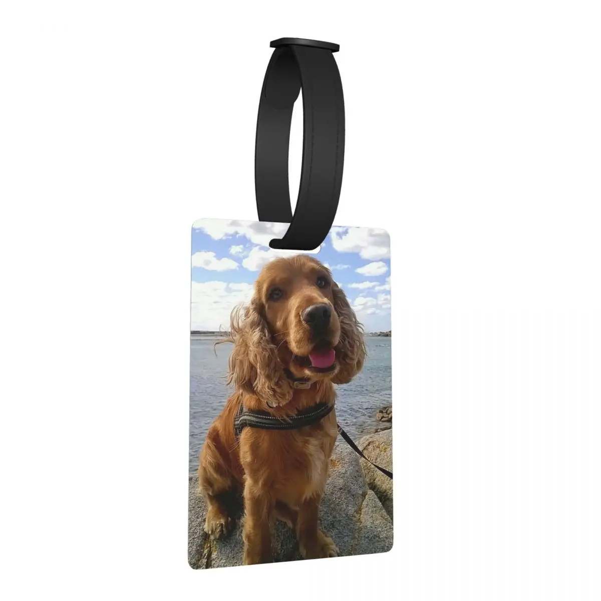 

Funny Cool Cocker Spaniel Dog Animal Luggage Tags Suitcase Accessories Travel Baggage Boarding Tag Label Holder ID Name Address