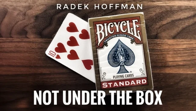 

Не под коробкой Радека Хофман (мгновенная загрузка)