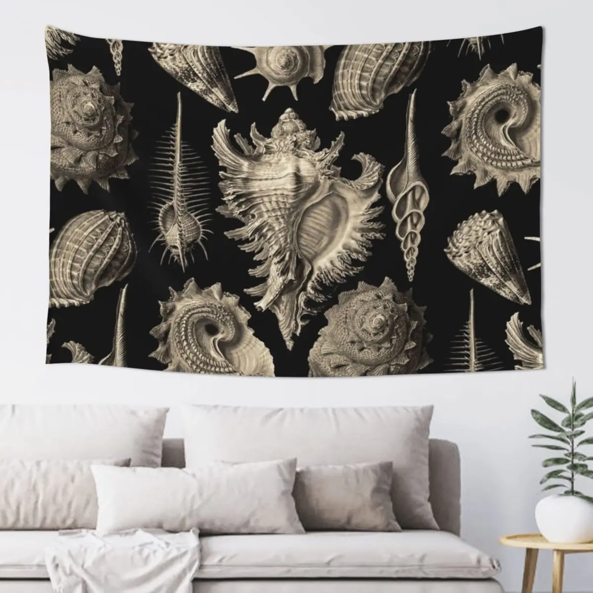 

Ernst Haeckel Prosobranchia Sea Shells Tapestry Decoration For Bedroom Wall Hanging Decor Tapestry