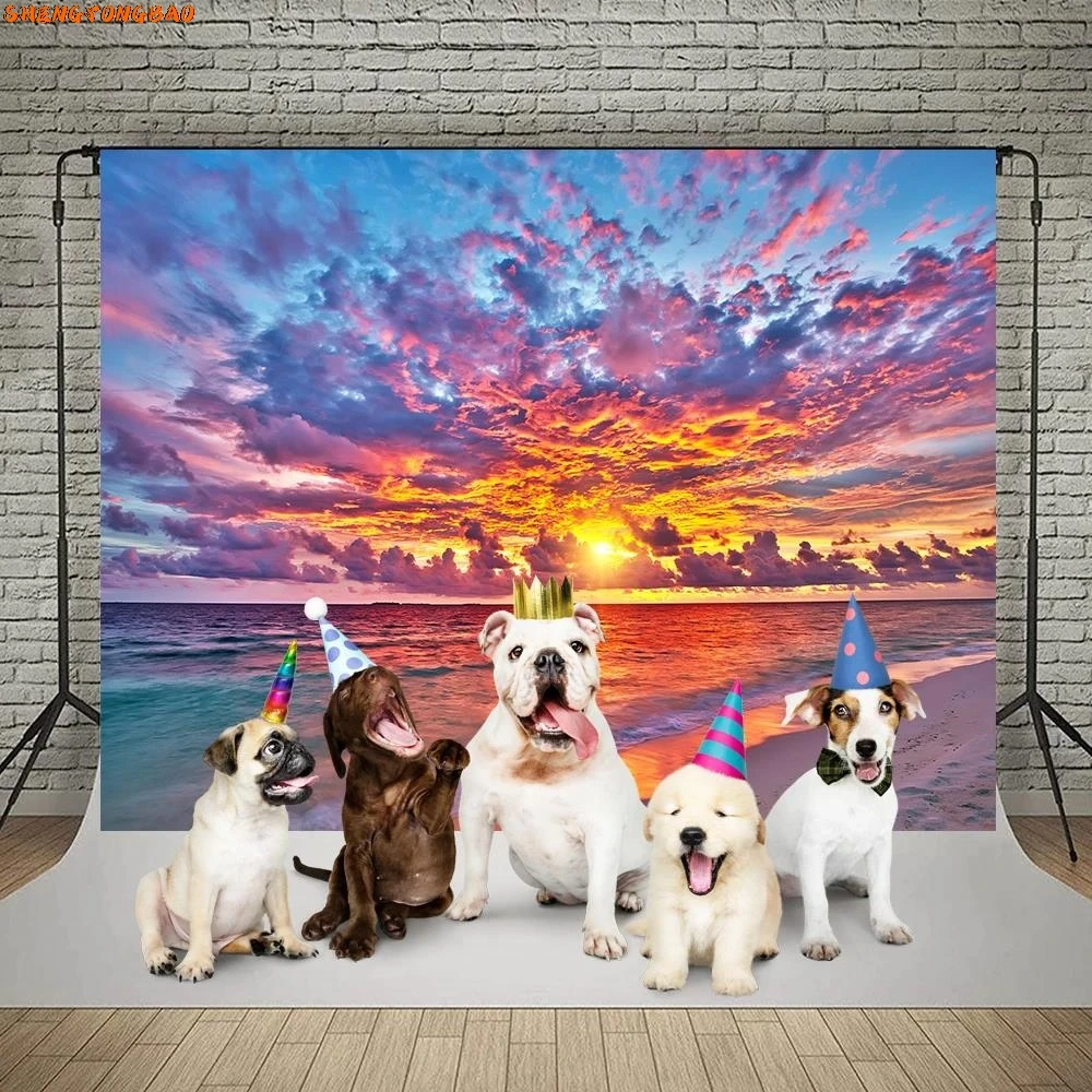 Beach Sky Colorful Cloud Sunset Nature Scenery Portrait Photocall Backdrop Photoboth Studio Shoot Photography Background Props