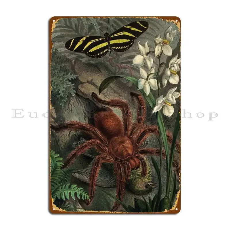 Vintage Tarantula Artwork Large Spider Eating Bird Tarantula Painting Goliath Birdeater Metal Sign Personalized Wall Mural