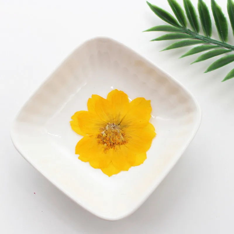 

100Pcs Sulfur Chrysanthemum Pressed Flower Materials Resin Phone Case Dried Flower Pressed Flower Scented Candle Bookmark Nail Art Dried Flower Pressed Flower