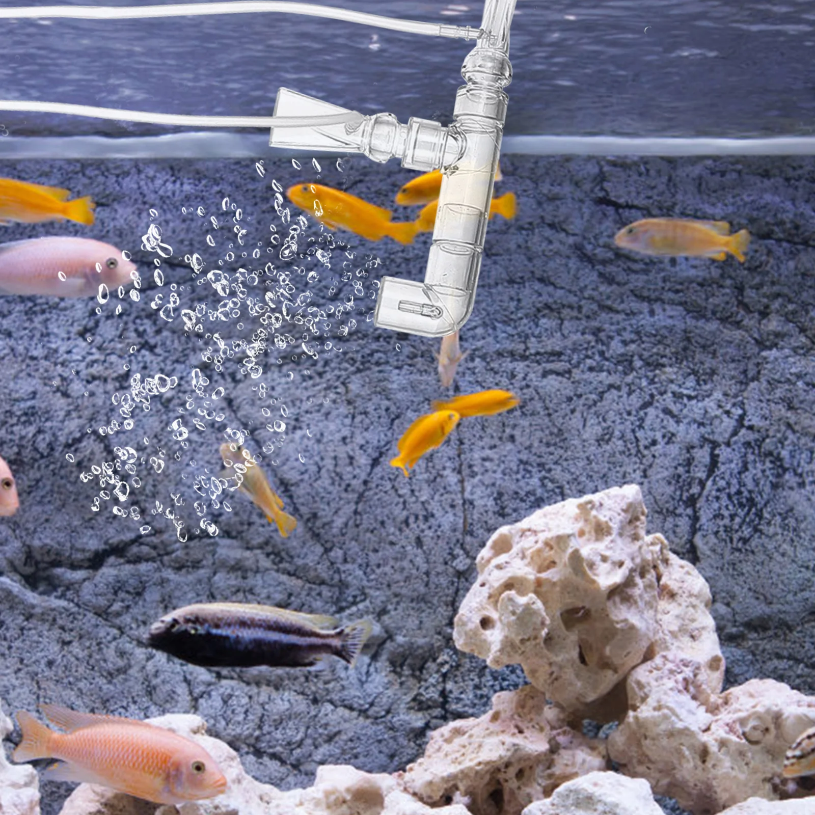 

Fish Tank Oxygenation Tube Aquarium Air Pump Accessories Water Outlet Fish Bowl Hydroponic Use Transparent Plastic