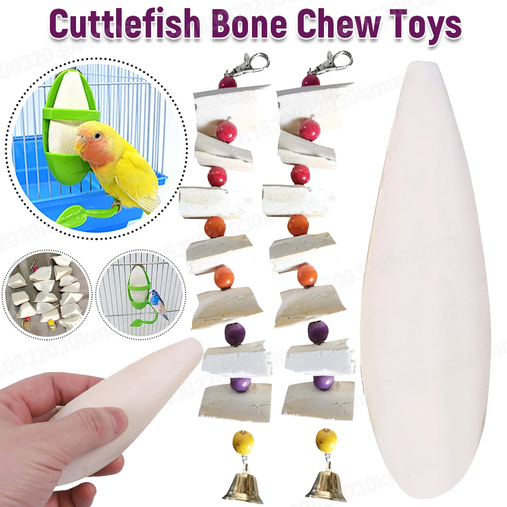 Parrot Calcium Supplements Chewing Cuttlefish Bone Pet Bird Cage Food Decoration Pet Supplies Parrot Birds Training Products