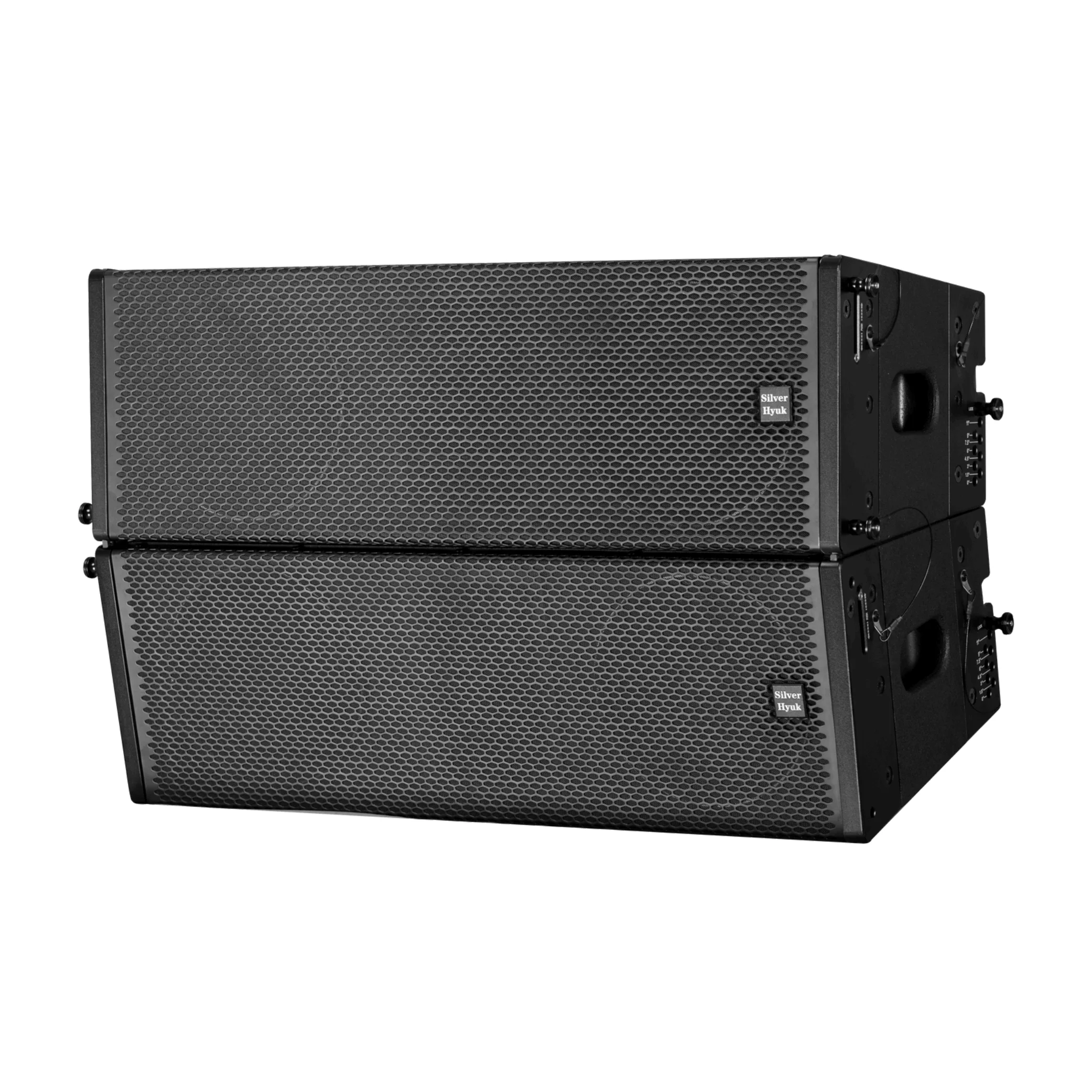 300W Dual 8-inch Bidirectional Passive Line Array Speakers for Performance