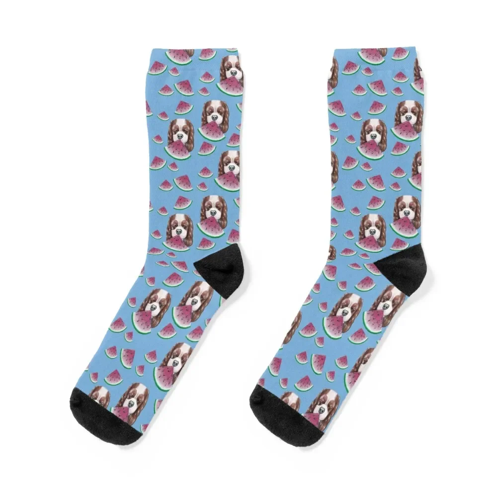 

Cavalier King Charles Spaniel - Blenheim and Watermelons Socks japanese fashion hiphop Socks Ladies Men's