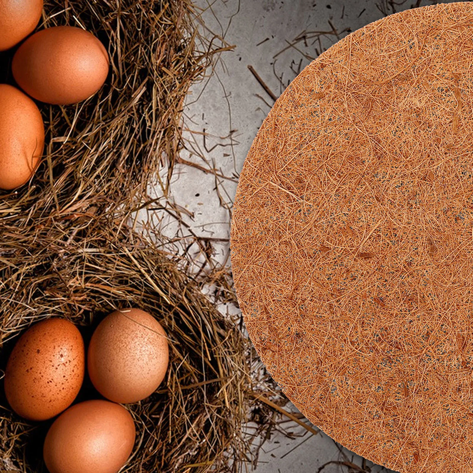 

10Pcs Pigeon Nest Pad Natural Coconut Fiber Thicken Bird Nesting Mat Durable Breathable Reusable Thicken Pigeon Nest Mat