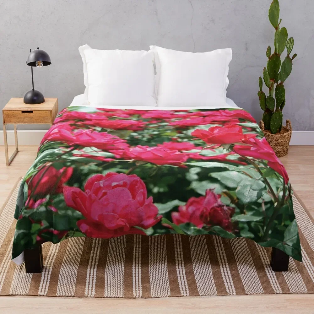 Bold and Beautiful Rose Bush Throw Blanket sofa bed Giant Sofa Blankets