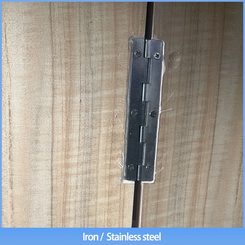 

Stainless Steel Or Iron Extended Hinge Embedded Swing Hinge For Industrial Motor Equipment Cabinet Doors