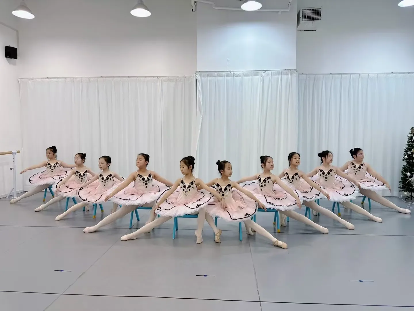 Pink Carnival Variations Children's Ballet Costumes Girls Ballet Tutu Skirt Professional TUTU Skirt Adult Ballet Skirt
