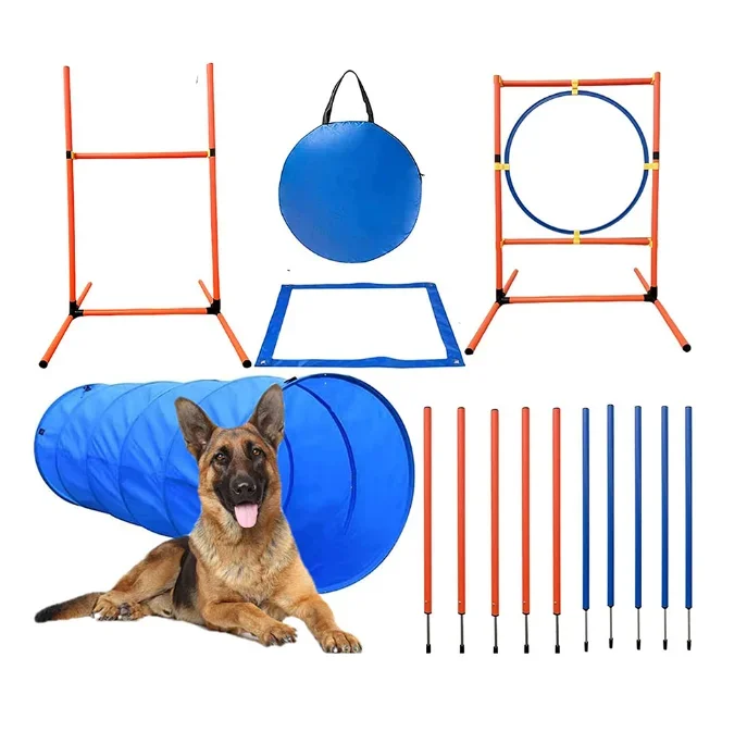 Custom Wholesale Dog Agility Course Backyard Set Training Equipment Obstacle Agility Training Starter Kit Pet Outdoor Games