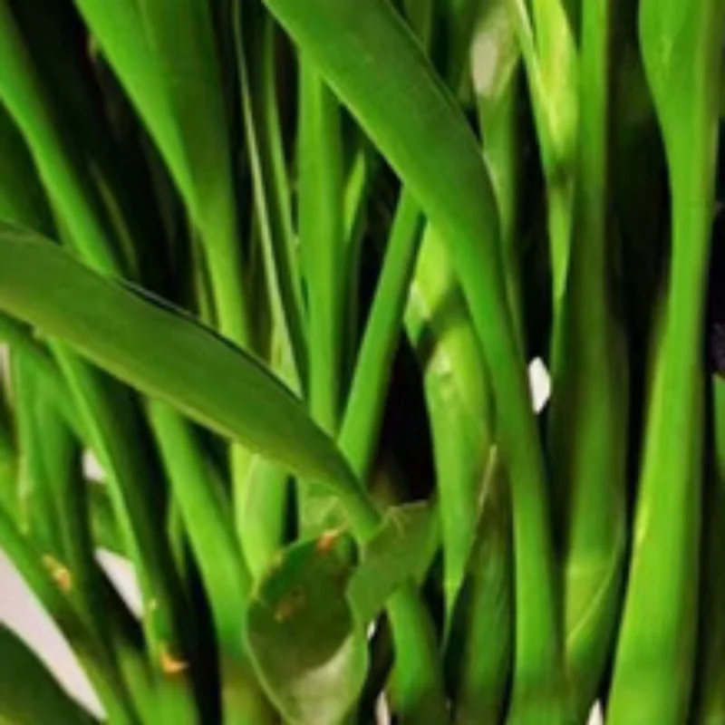 

Мягкая плюшевая игрушка-панда Кавайи, зажим для штор в виде панды, игрушка-кукла для обнимания