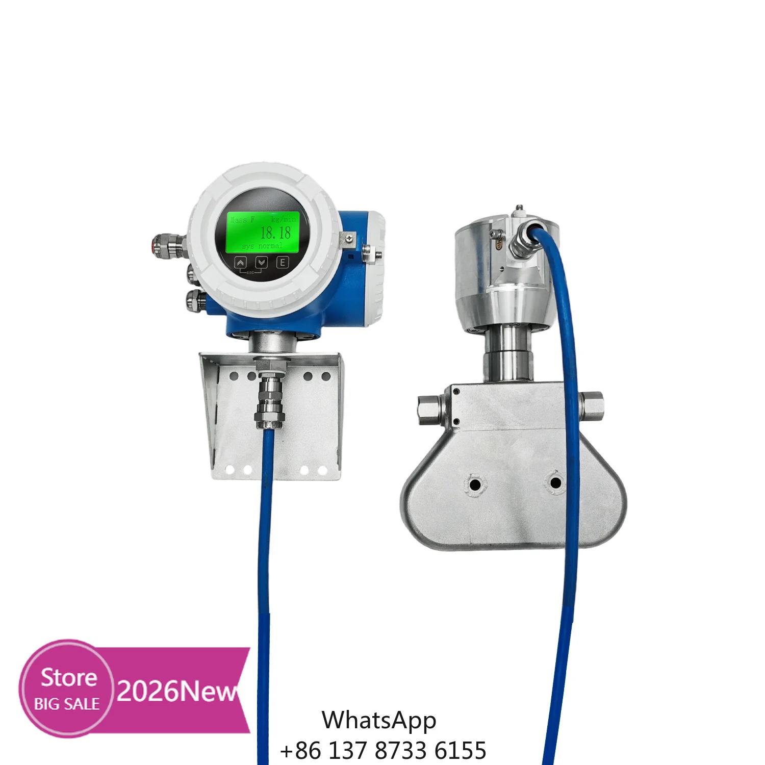 Expert OEM Digital Coriolis Flow Meters For High-Pressure Gas Precision Micro-Flow Measurement With Stainless Steel Construction