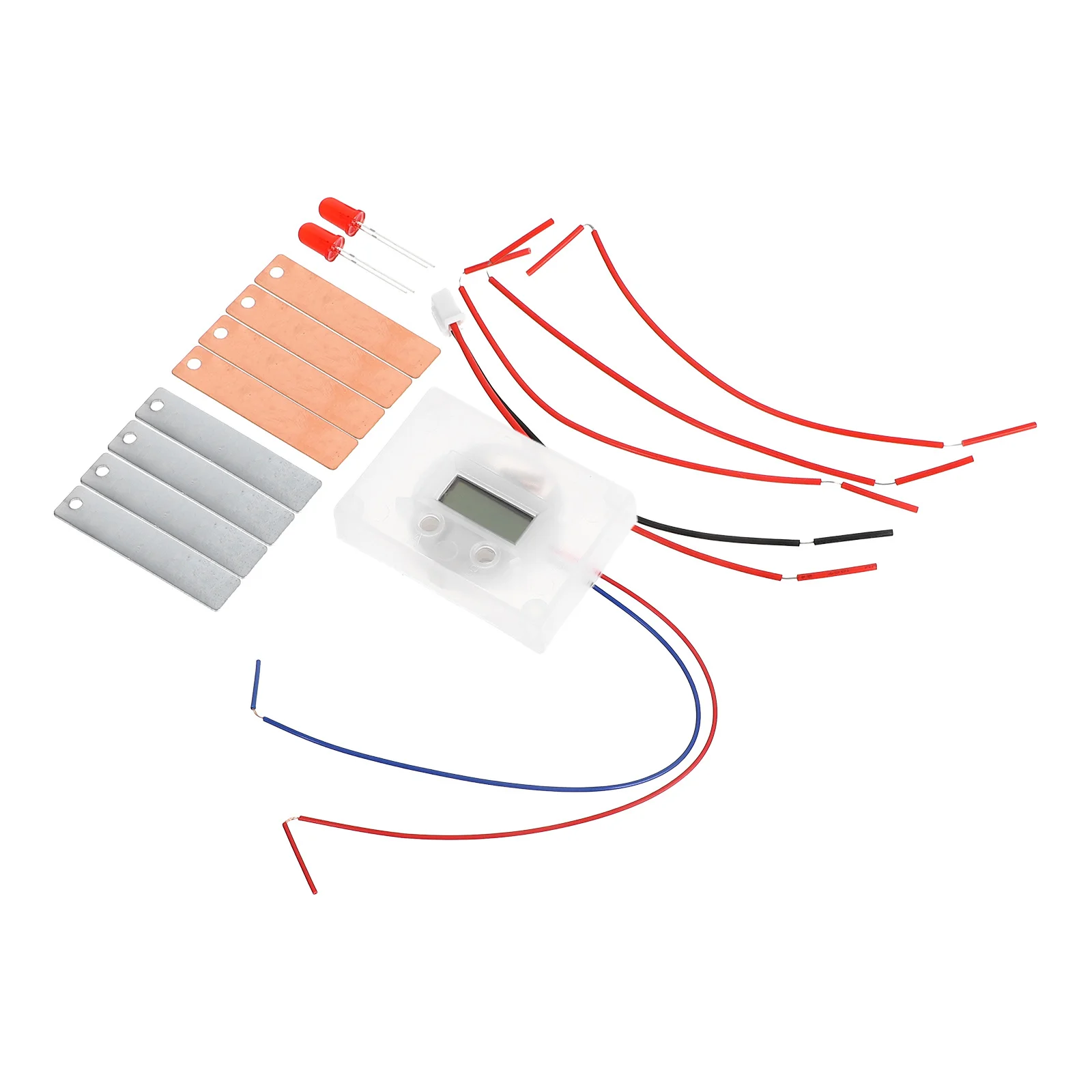 2 set Fruit Experiment Kit Metal Diy Science Project Educational For Students Making Set Sensory Plaything