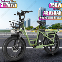 E-bike 48V20AH Lithium Battery 1000W Peak Power Hydraulic Brake Electric Bike 20*4.0 Inch All-terrain Fat Tire Electric Bicycle