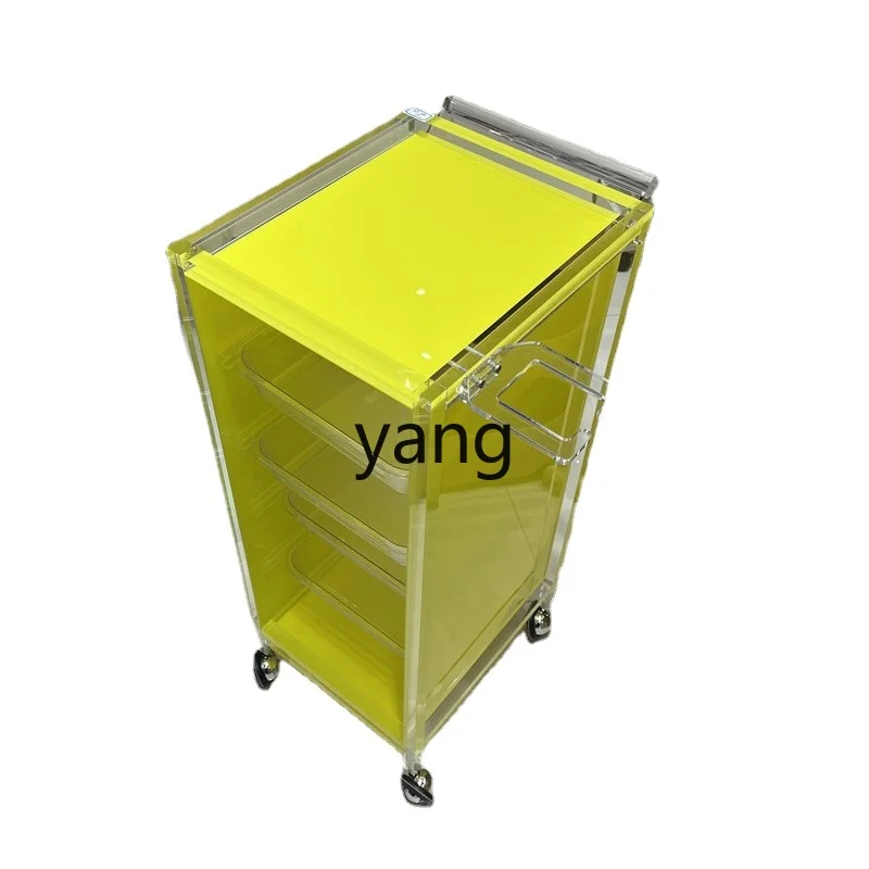 

CX Hair Storage Rack Hair Salon Stylist Dopamine Hot Dyeing Cart for Hair Salon