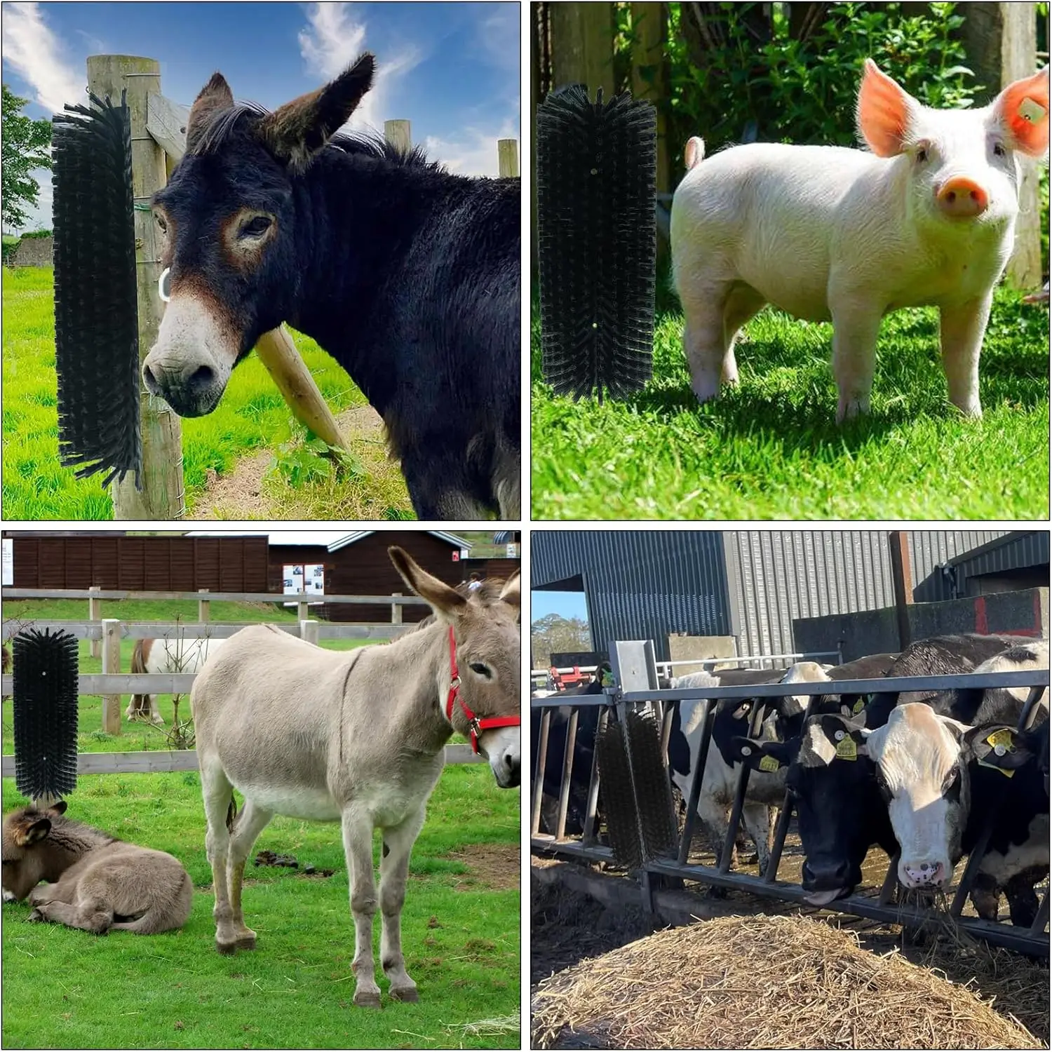 فرشاة خدش الماشية، أداة خدش الحصان، فرش تدليك كاملة مع 4 براغي للماشية والأغنام والخيول