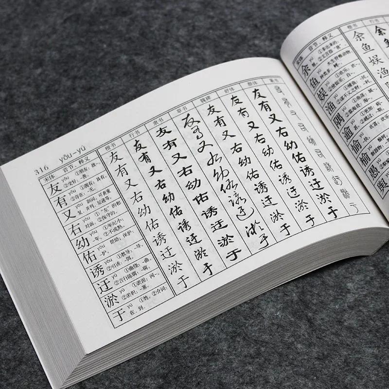 

Practical Buddhist Scriptures Calligraphy Copybook Calligraphy Practice Chinese Copybook Multiple Type Diamond Sutra Handwritten