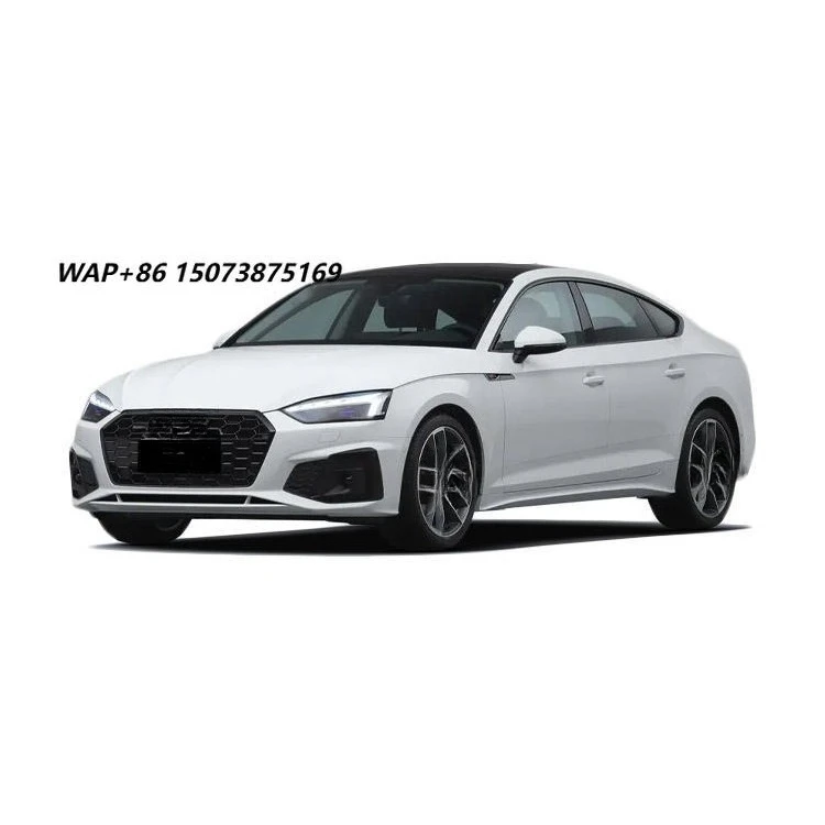 Chinese Brand Luxury Sedan Convertible 2.0-2.5L Gas/Petrol Automatic Sunroof Keyless Entry R19 Dark Seats LED Lights New