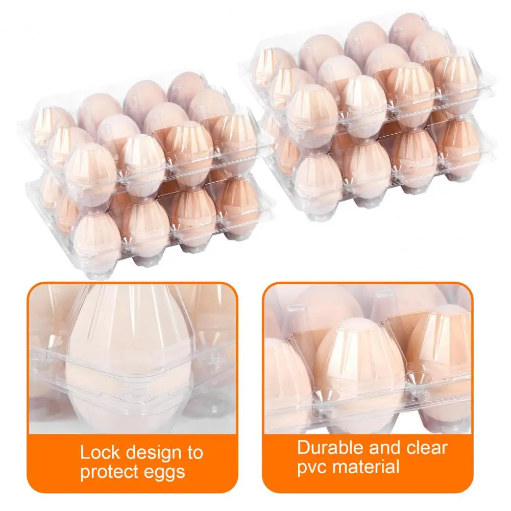 Reusable Plastic Egg Box Reusable Plastic Egg Cartons for Home Ranch Market Display Bulk Pack of 50 Pcs with 12 Count for Farm