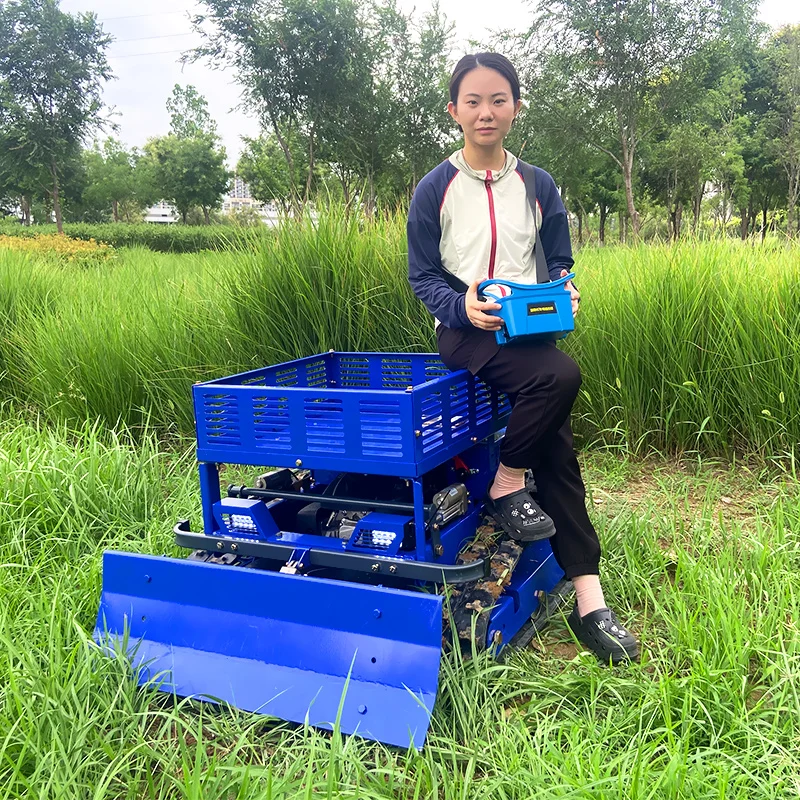 Customized  Mower Brush Cutter Machine Home Use Garden Grass Trimmer Lawn Mowers