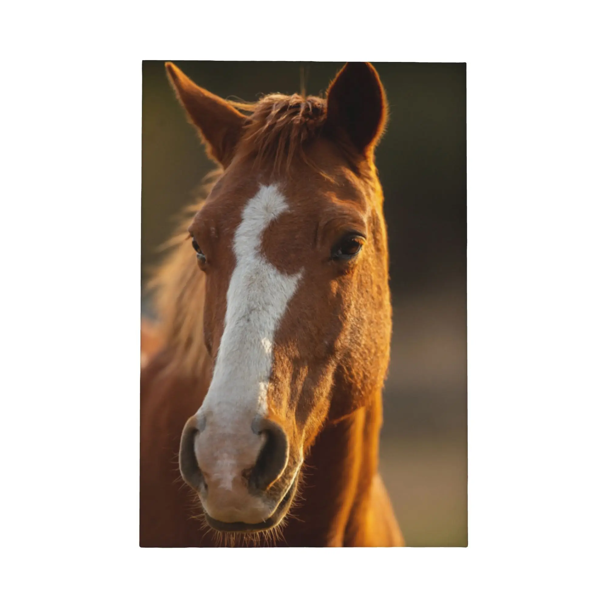 

Cowboy Horse Canvas Framed Wall Art Western Rustic Country Vintage Style Riding Silhouette Home Decor for Living Room Bedroom