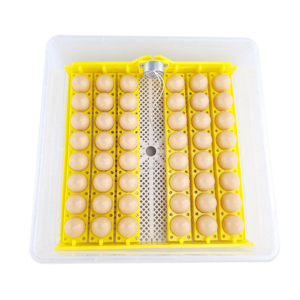 2025年最安値 家禽用卵インキュベーター 孵卵機 48卵インキュベーター 鶏卵