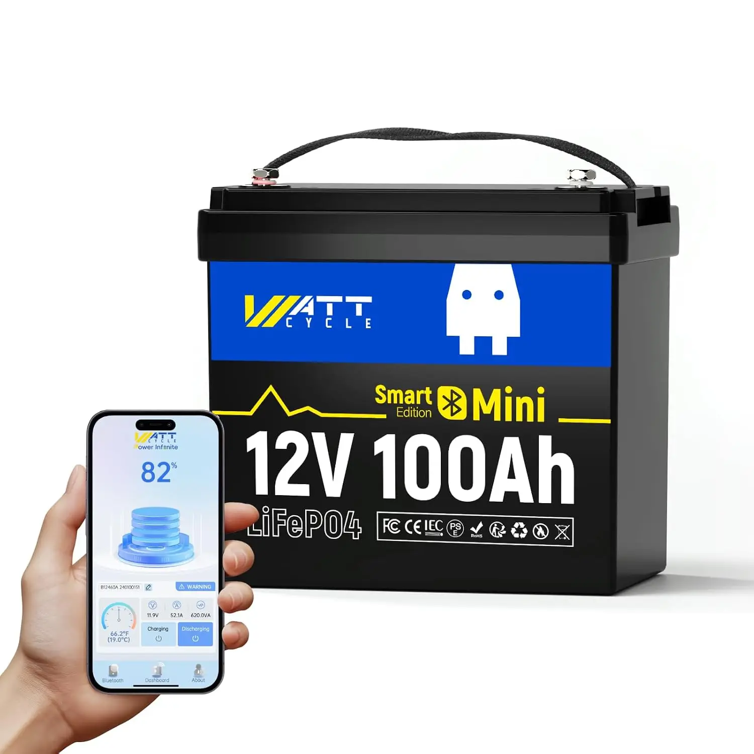 12V 100Ah Mini LiFePO4 Battery Group 24 100A BMS Bluetooth, Customized