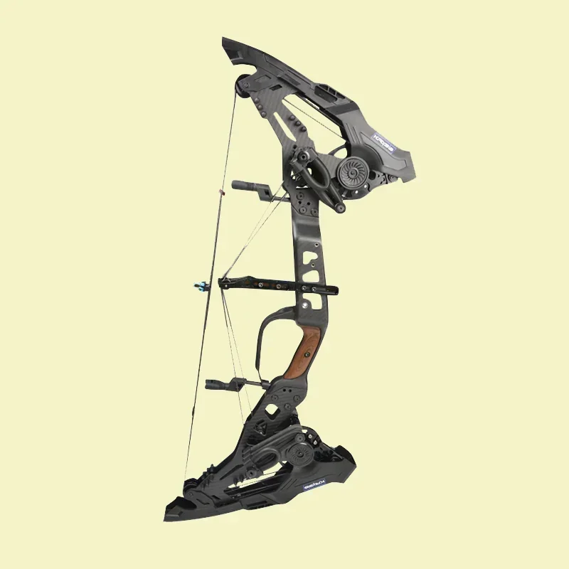 

Archery China Compound Bow 21.5-80 Lbs Dual-use Compound Composite Bow Shooting And Hunting Accessories