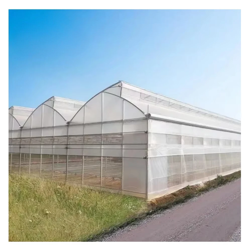 Sawtooth Multi-Span Agricultural PE Film Greenhouse Natural Ventilation Tropical Crop House Serre Agricole Invernadero
