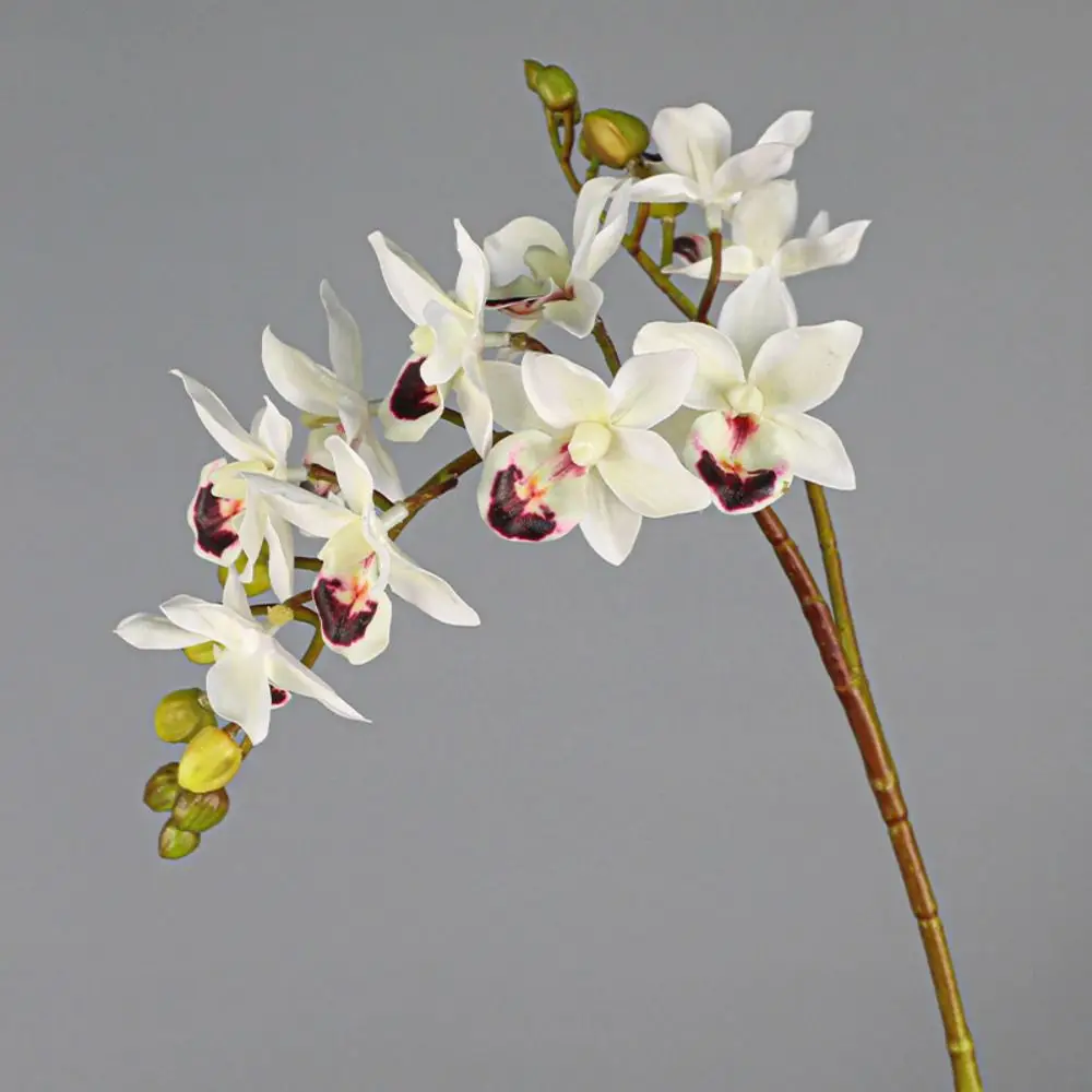 

2 Fork Artificial Phalaenopsis Branches Real Touch Handmade Artificial Butterfly Orchid Flower Realistic Fake Flowers