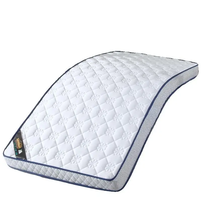 Thiened Latex Sponge Soft Pad Matr for Rent Single Tat Pad Student Dormi Home Use Tat Mat Bedding Supplies - view 5