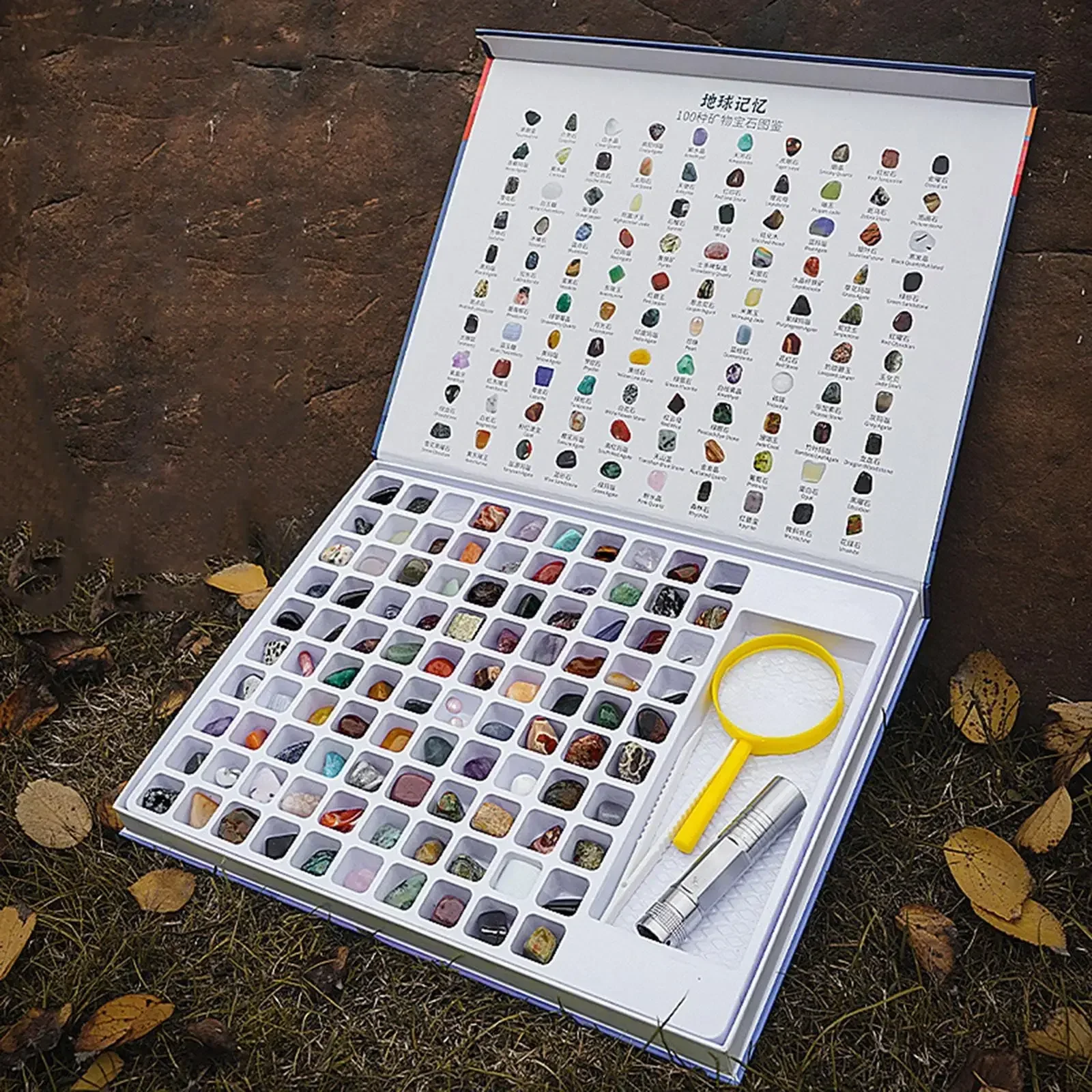 

Rock Mineral Kit Gemstone Collection Magnifying Glass ID Sheet for Classroom