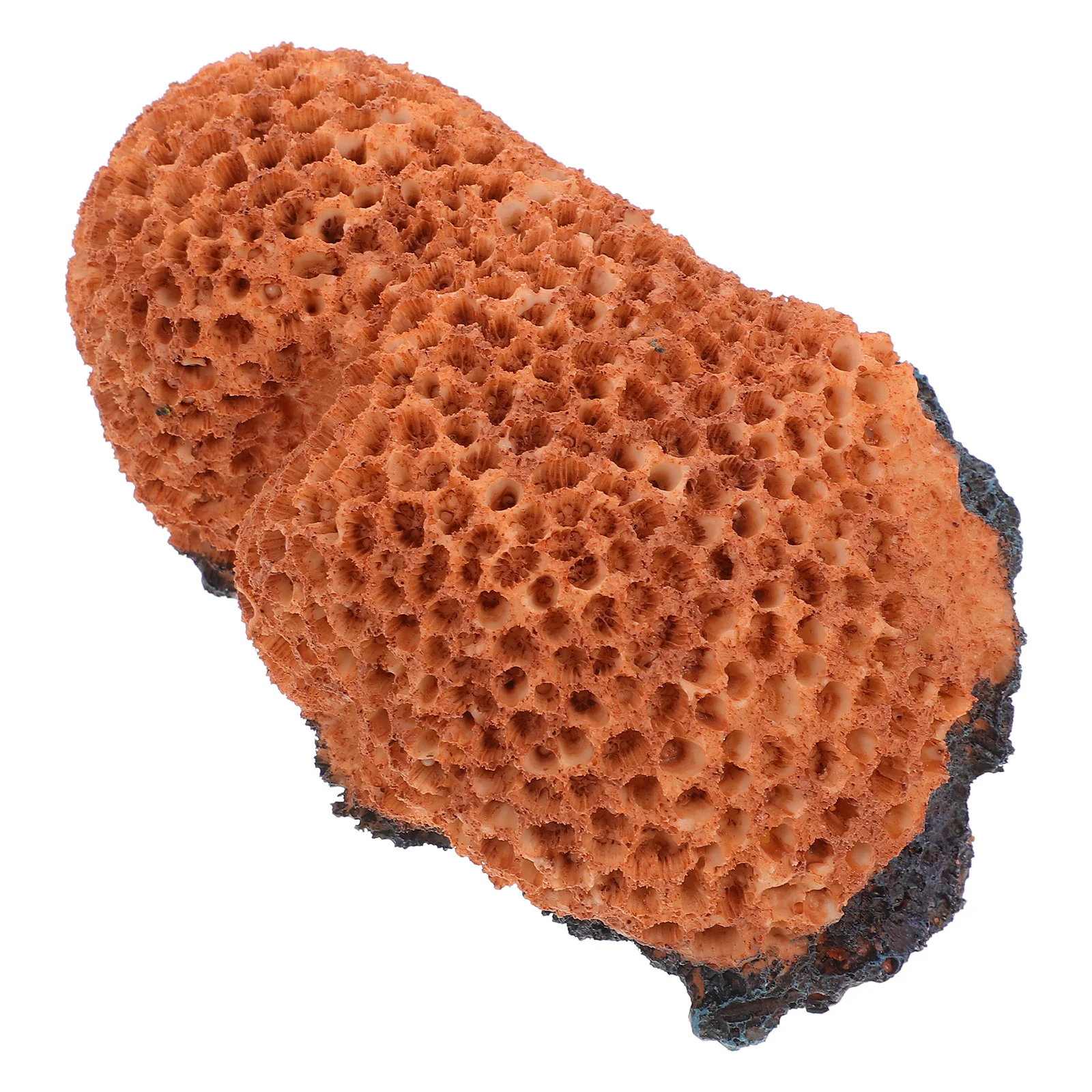 Lifelike Aquarium Coral Decorations Variety of Choices Durable and Longlasting Fish Tank Landscape Decor Fish Tank Decor Mini