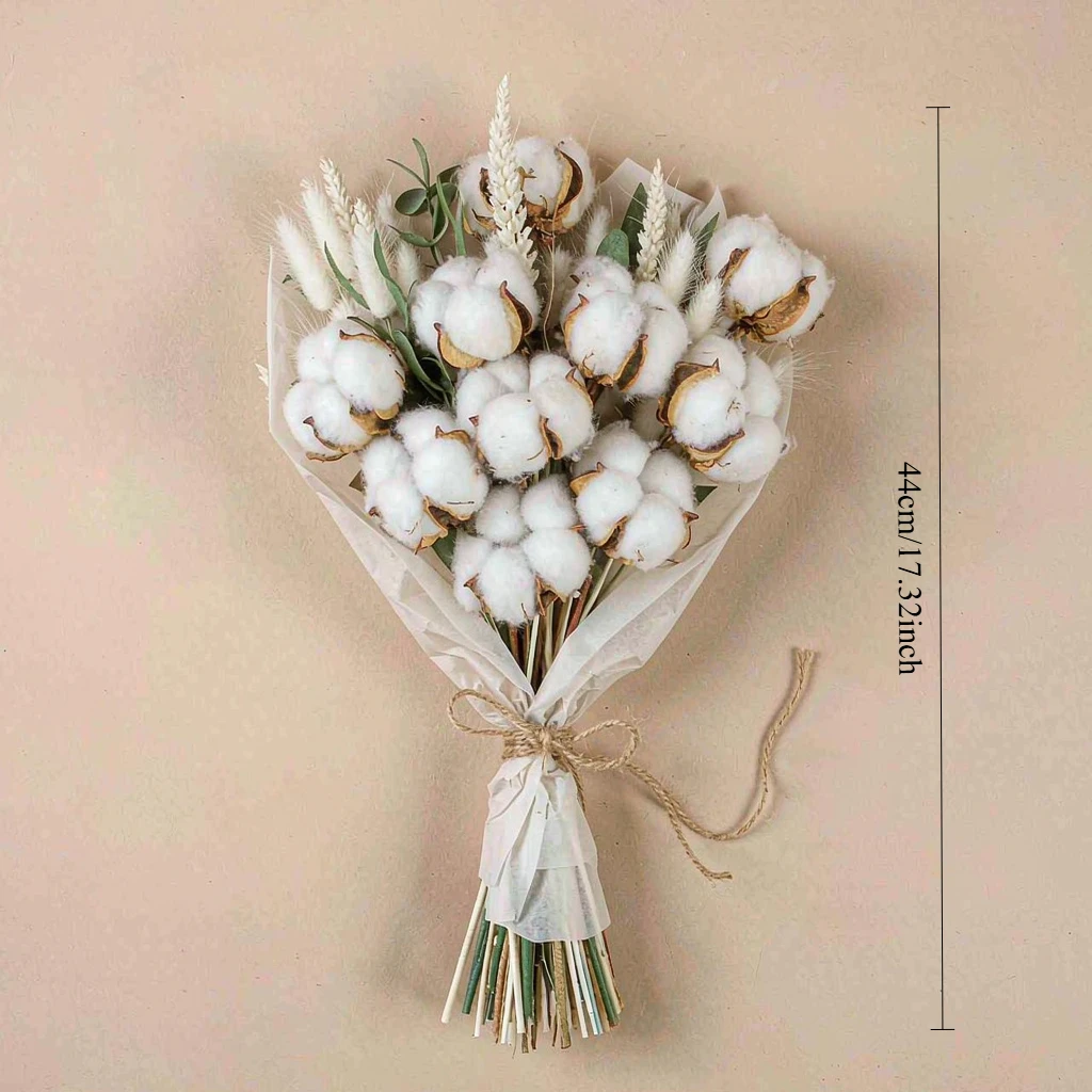 Dried Cotton Stems Eucalyptus  - Pampas Grass Decor review and price