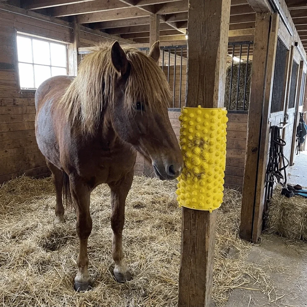 HLH 3PCS Wear Resistant Animal Scratcher Multi-functional Strong Cow Scratcher Weather Resistant Animal Itching Artifact Farm Us