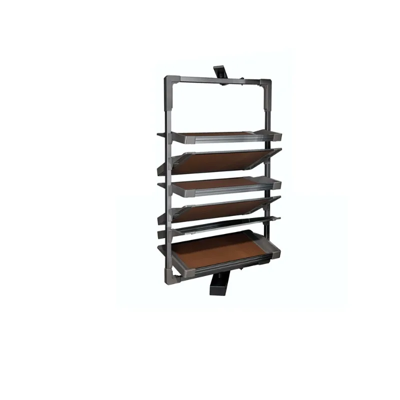 Roeasy Proofing Shelf for Shoes Wall Shelves for Shoes Closet Revolving Rotate Shoe Shelf Rack Storage