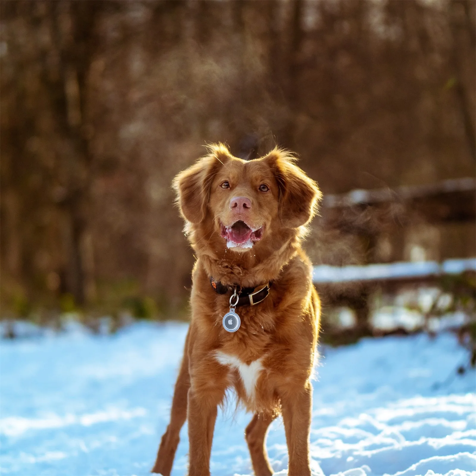 Waterdichte anti-verloren sleutelhangerhouder Transparant TPU-hoesje voor Apple Airtag Hond Kat Huisdierhalsband Sleutels Tracker Beschermende volledige dekking