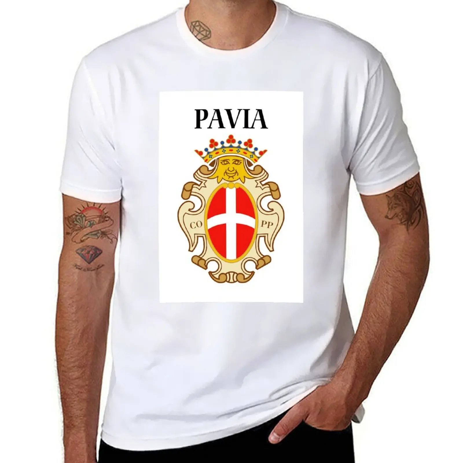 

t OF - T-Shirt 078_2A summer cotton for percent man PAVIA 100 - COAT man shirt ARMS t shirt