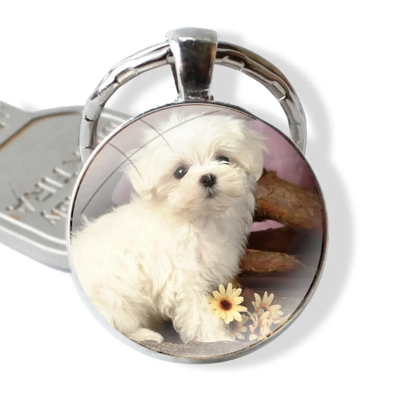 25mm Glass Cabohcon Keychain Key Rings for Women Men Jewelry Gift Awesome I Love My Maltese dog Luxury