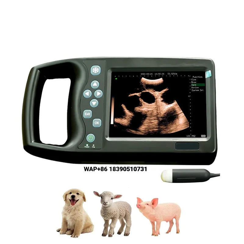 Wholesale Portable Waterproof Veterinary Ultrasound Machine for Pig, Goat, Goat and Dog  Scanning (No Comments Yet)