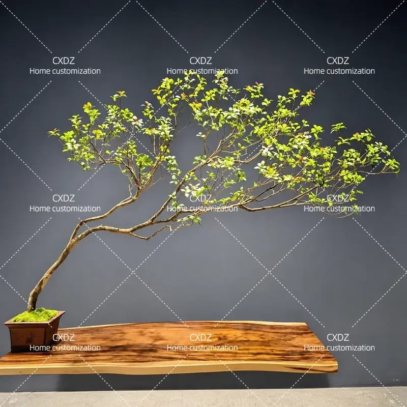 Simulation green plant bonsai island spring flower interior decoration tree living room office desktop Chinese zen advanced